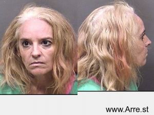 Diana Ardoin Arrest Mugshot