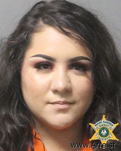 Jessica Meche Arrest Mugshot