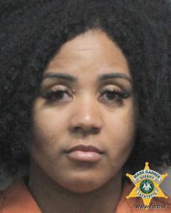 Megan Constantine Arrest Mugshot