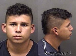 Miguel Alvarado Arrest Mugshot