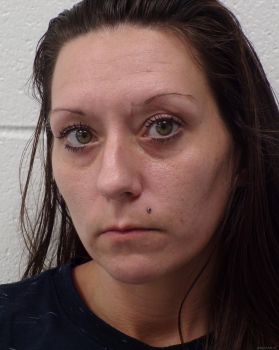 Amanda Dawn Norvell Mugshot