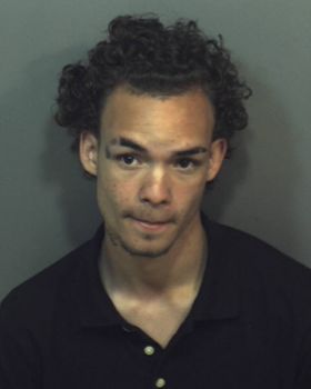 Brandon  Bianco Mugshot