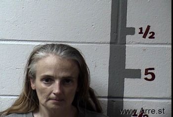 Danielle Lee Lynn Mugshot