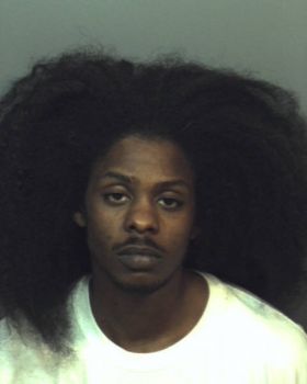 Dominic Earvin Johnson Mugshot