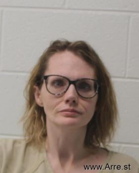 Jami Laraine Anderson Mugshot