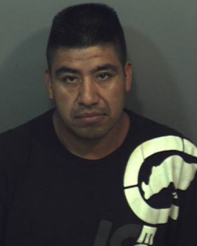 Mario  Herrera Mugshot