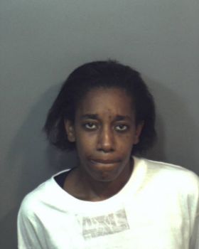 Michelle Renee Bushrod Mugshot