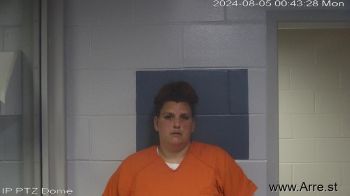 Nicole Marie Snyder Mugshot