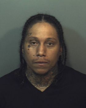 Ricardo Antonio Mitchell Mugshot