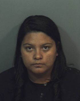 Ruth Elizabeth Diaz Mugshot