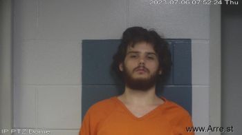 Tanner Nicholas Pippin Mugshot