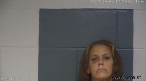 Kristin Bradley Arrest Mugshot