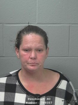 Amanda L Elliott Mugshot