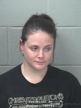 Amanda L Mcdaniel Mugshot