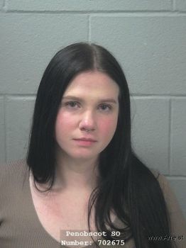 Amber M Willinski Mugshot