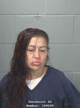 Lisa J Gould Mugshot