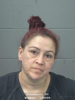 Lisa J Gould Mugshot