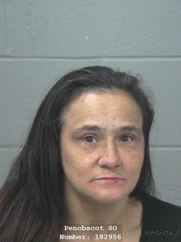 Lynn Marie Martin Mugshot