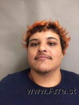 Orlando Junior Alvarez Mugshot