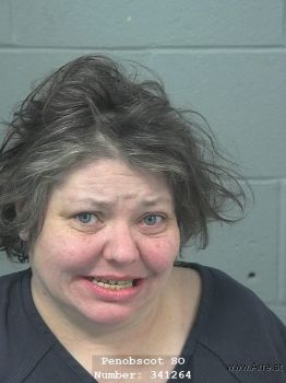 Sara L Boutaugh Mugshot