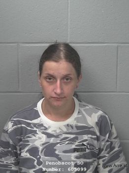 Sarah Mary Voisine Mugshot