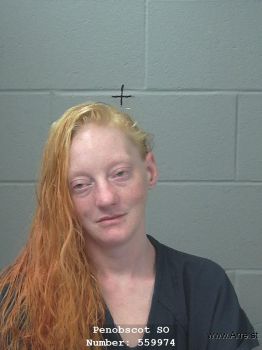 Shelby L Pelletier Mugshot