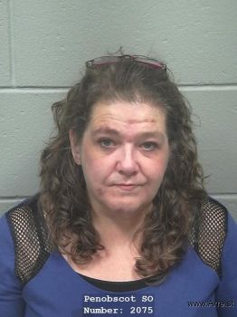 Tammie Ann Haskins Mugshot