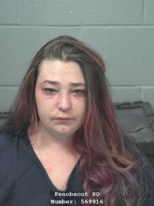 Allison Lerback Arrest