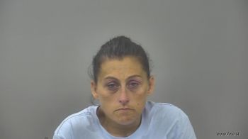 Alicia Lee Hanson Mugshot