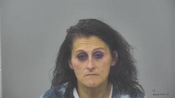 Alicia Lee Hanson Mugshot