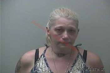 Amy Lynn Wilson Mugshot