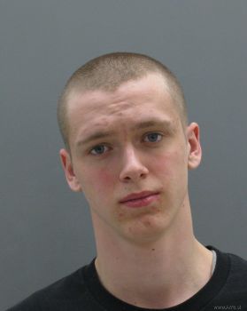 Andrew Tyler Leenheer Mugshot