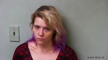 Ashley Marie Kingsley Mugshot