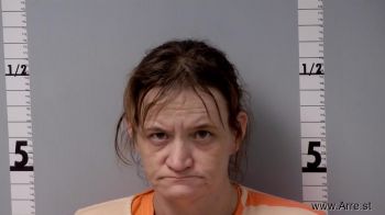 Betty Jean Snyder Mugshot