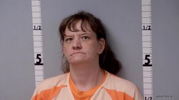 Betty Jean Snyder Mugshot