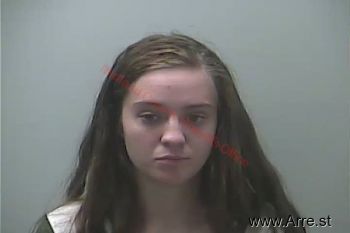 Brianna Lee Donaldson Mugshot