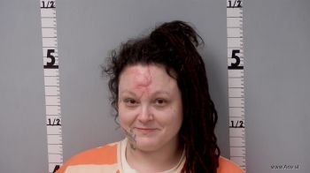 Carol Ann Smith Mugshot