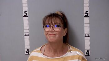 Carrie Ann Falls Mugshot