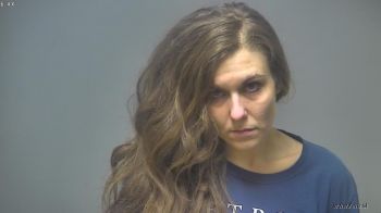 Danielle Nicole Clevenger Mugshot