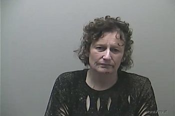 Debra Sue Johnson Mugshot