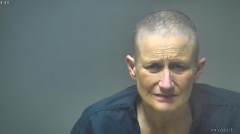 Debra Sue Johnson Mugshot