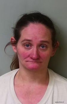 Danielle Renee Sparks Mugshot