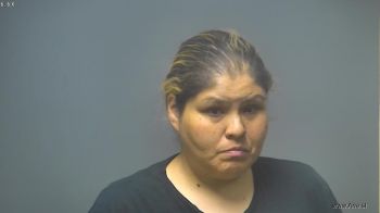 Erica Marie Chavez Mugshot