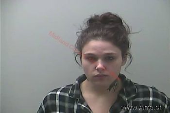 Erica Danielle Wolfe Mugshot