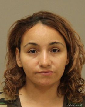 Elizabeth Armanda Garcia Mugshot