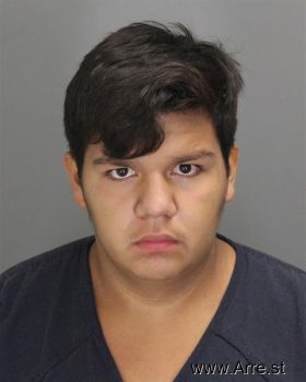 Gabriel Ramond Castillo Mugshot