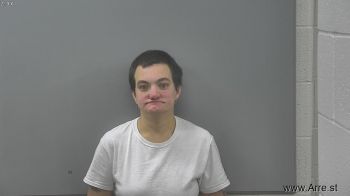 Gail Ann Brandt Mugshot