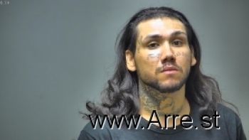 Gonzalo Nikko Alaniz Mugshot