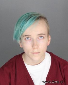 Heather Courtney Harrington Mugshot