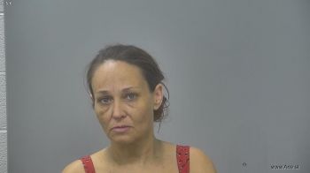 Hollie Deneen Scruggs Mugshot